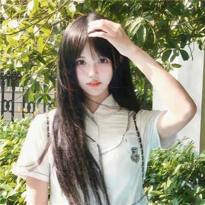 双珠凤
